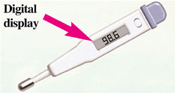 Rectal thermometer showing a digital display.