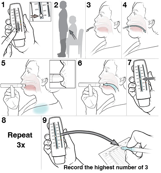 9 steps for using a peak flow meter