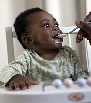 Baby being fed in a high chair.