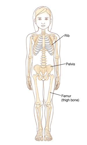Outline of child showing skeleton.