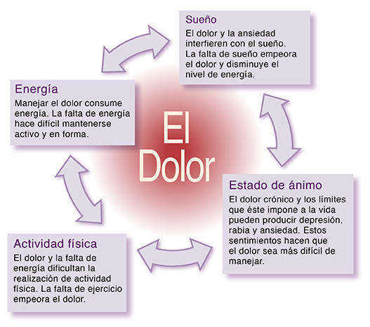 Ciclo del dolor en forma de flechas. Sueño: El dolor y la ansiedad le hacen difícil dormir. La falta de sueño empeora el dolor y reduce la energía. Humor: El dolor crónico y todo aquello que el dolor impide hacer pueden generar depresión, enojo y ansiedad. Estos sentimiento hacen que soportar el dolor sea más difícil. Actividad: El dolor y la falta de energía hacen difícil estar activo. La falta de ejercicio empeora el dolor. Energía: Soportar el dolor gasta energía. La falta de energía hace difícil estar activo y mantenerse en forma.