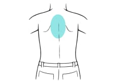Child’s back with area between shoulder blades highlighted.