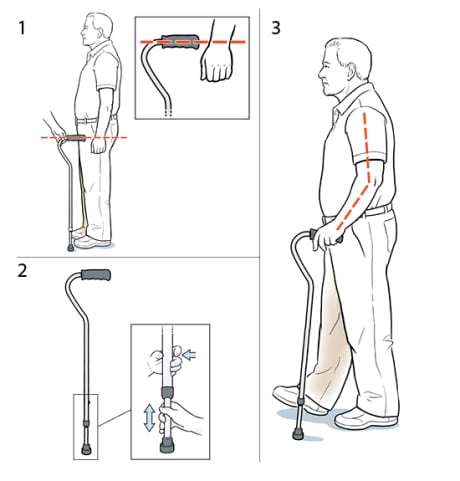 Man standing with a cane handle at wrist height for proper fit.